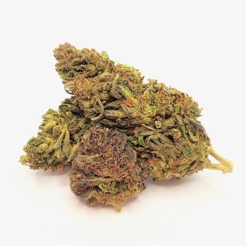 Blueberry Diesel Strain