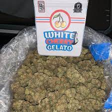 index White Cherry Gelato Strain