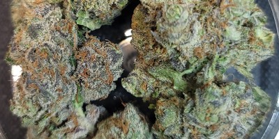 Strawberry Mimosa Strain