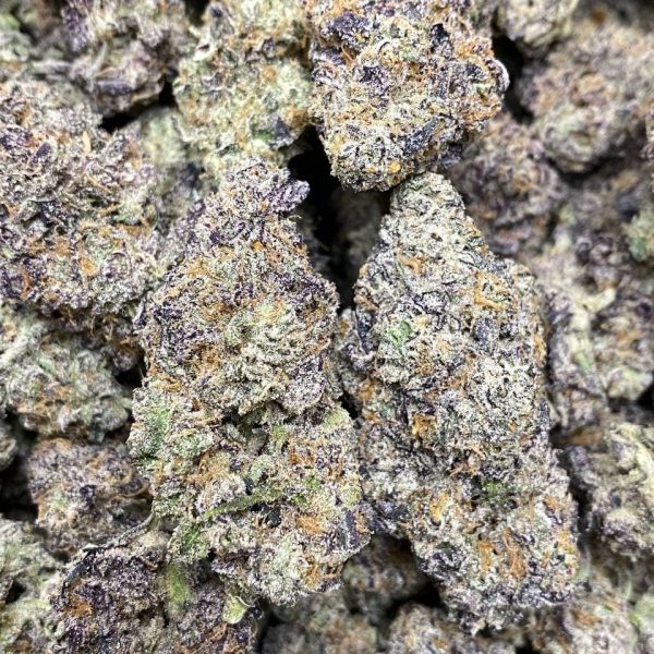 Mint Truffles Strain