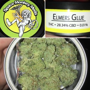 ELMER’S GLUE