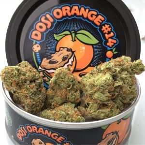 DOSI ORANGE #14