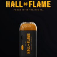 HALL OF FLAME DISPOSABLE