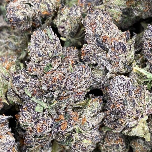 Strawberry guava Strain