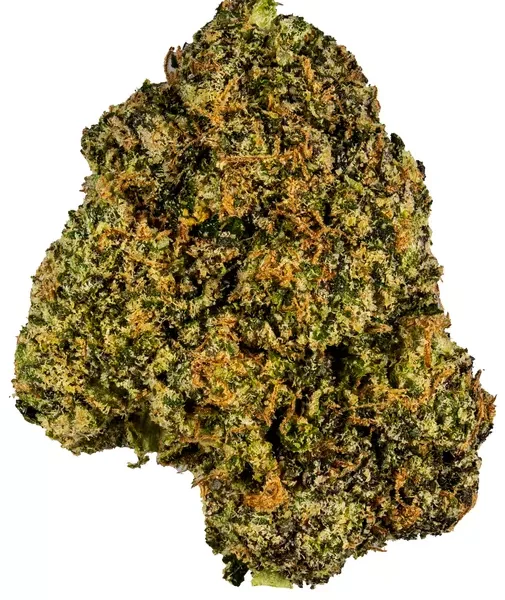 Rainbow sherbet strain