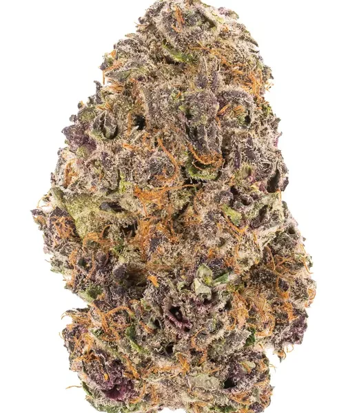 Tropicana Cherry strain