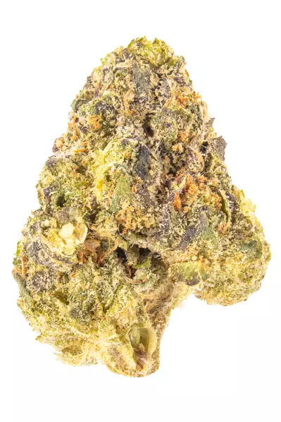 Vanilla Cheesecake strain