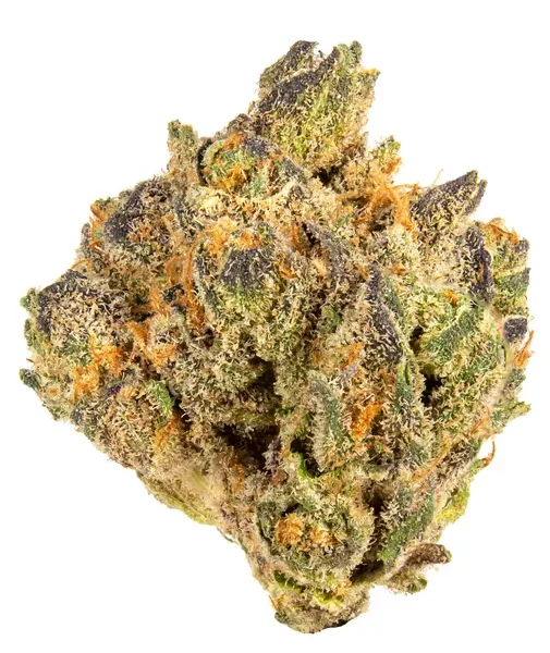 Watermelon Gushers strain