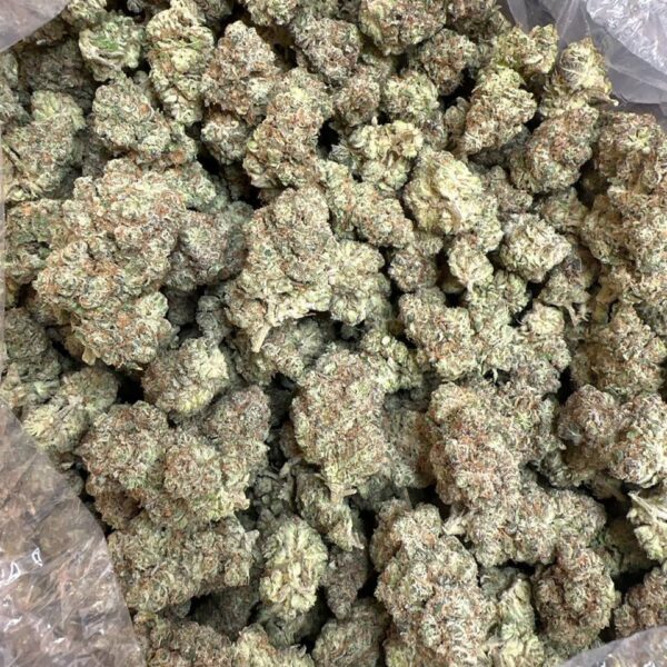Toad venom strain