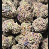 blue meduza strain