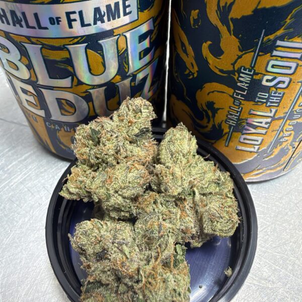BLU MEDUZA STRAIN