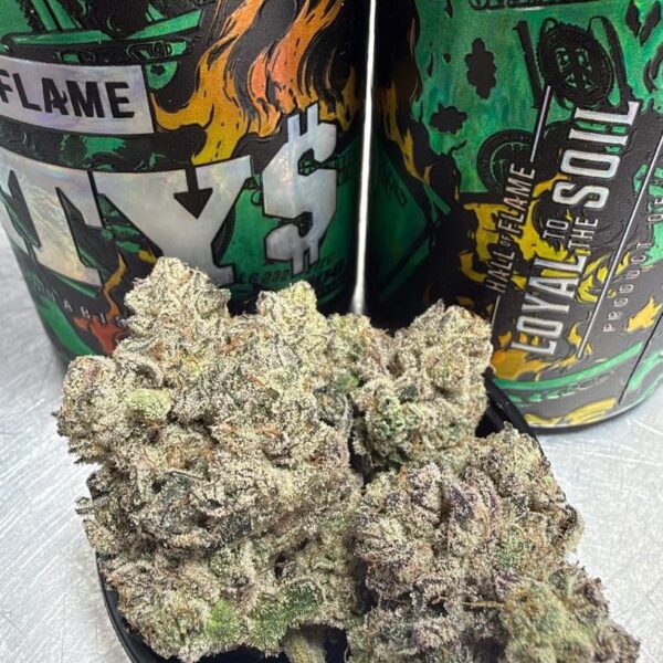 DRTY $ STRAIN