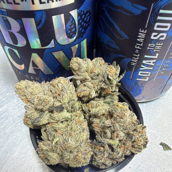 BLU CAVI STRAIN